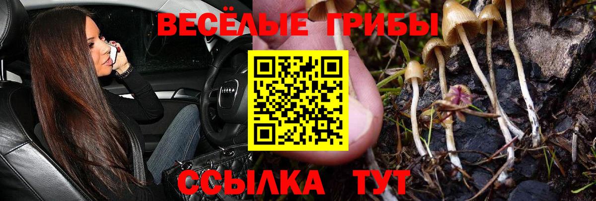 как найти закладки  Галлюциногенные грибы Magic Shrooms  Галлюциногенные грибы MAGIC MUSHROOMS  Вход с VPN  Лабытнанги 